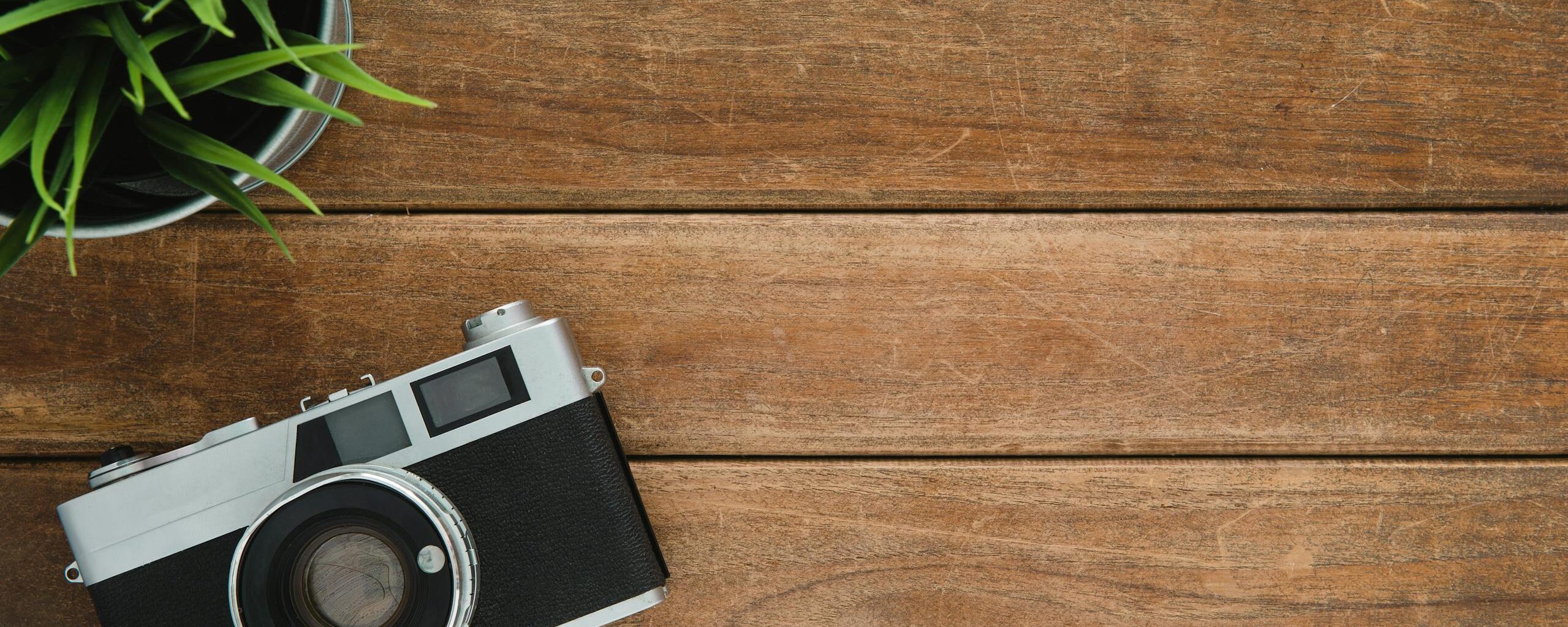 Retro camera and potted plant on wooden surface with copy space.